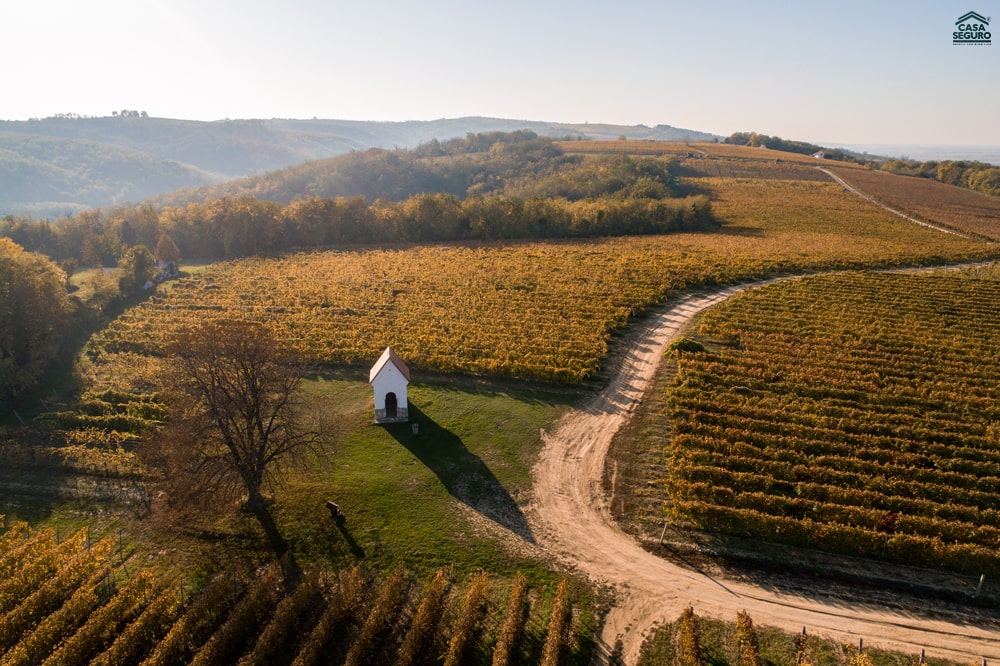 thoi-tiet-mua-thu-hungary-autumn-hungary-casa-seguro-011