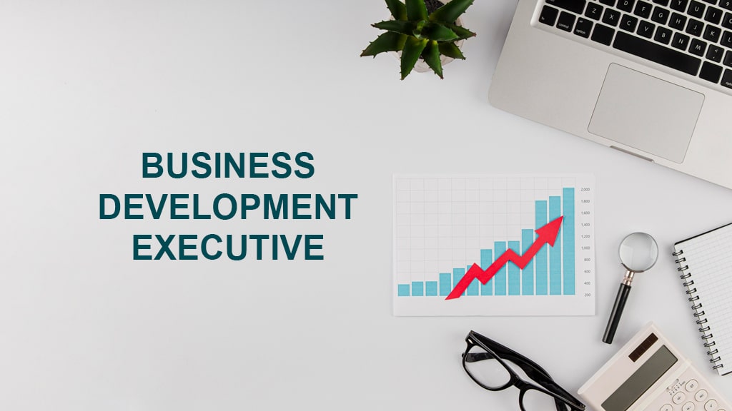 Business Development Executive Casa Seguro 003